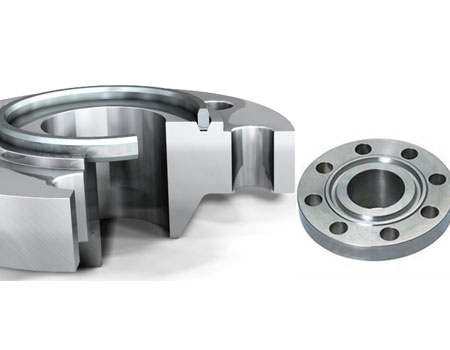 Hastelloy Ring Type Joint Flange