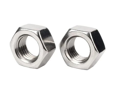 Stainless Steel 446 Nuts